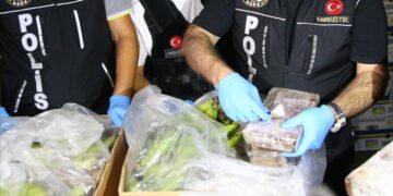 Report finds Turkey bridging cocaine routes between continents amid mafia and state collaboration