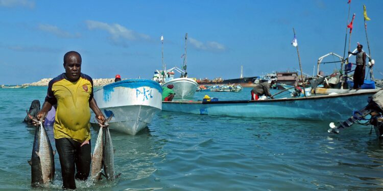 Turkey’s controversial military fund gains sweeping control over Somalia’s fisheries