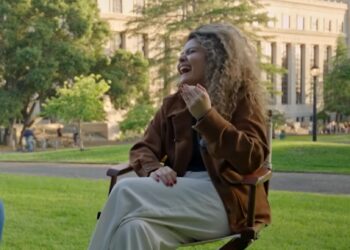 Turkish woman’s Silicon Valley fairy tale built on fraud, forgery and identity theft in the US