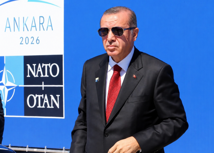 NATO summit becomes Erdogan’s show of force to wipe out remaining opposition at home